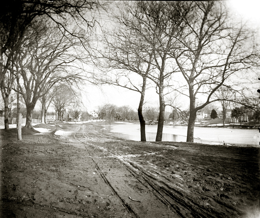 Main Street and Town Pond, c. 1890