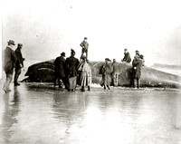 Boy on a Whale, East Hampton, undated